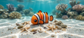 Mini Flexi Pesce Pagliaccio Nemo snodabile stampato 3D artigianale GM_Creations
